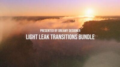 Light Leak Transitions Overlays And color LUTs Bundle 55522506