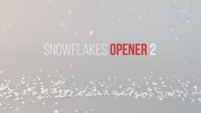 Snowflakes Opener 2 19119865