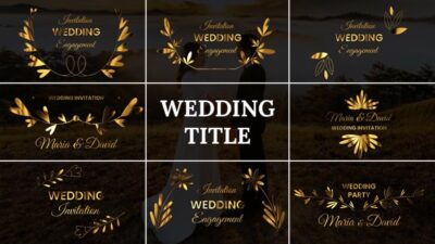 Wedding Title 54669612 Videohive